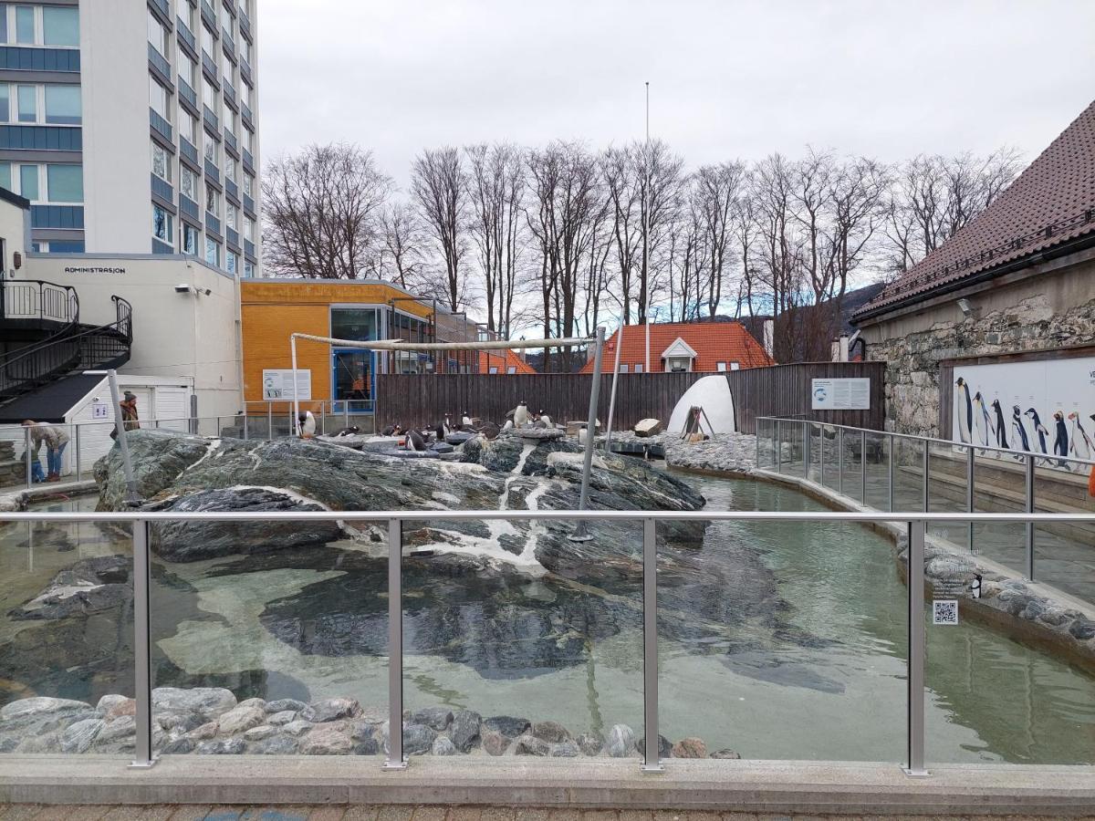 Bergen City Center Apartment المظهر الخارجي الصورة
