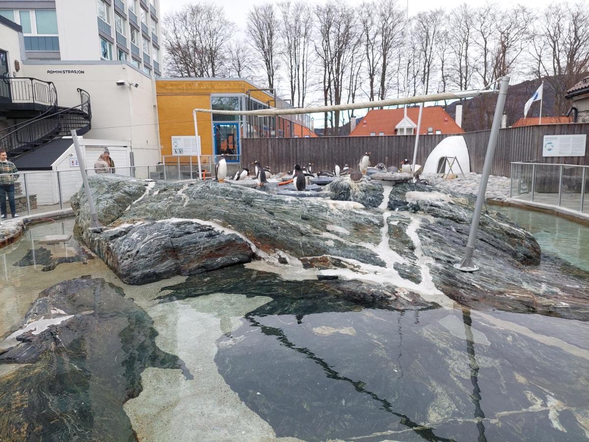 Bergen City Center Apartment المظهر الخارجي الصورة